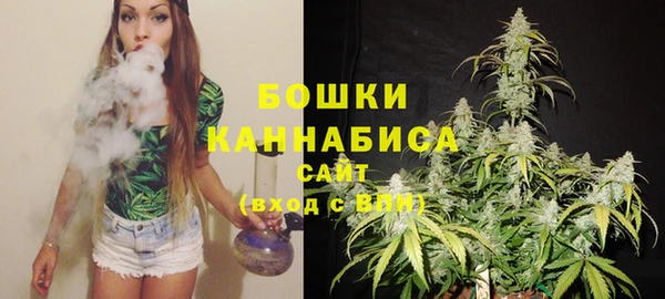 ПСИЛОЦИБИНОВЫЕ ГРИБЫ Киренск