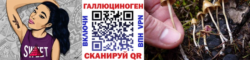 Купить где  Демидов  Галлюциногенные грибы MAGIC MUSHROOMS 